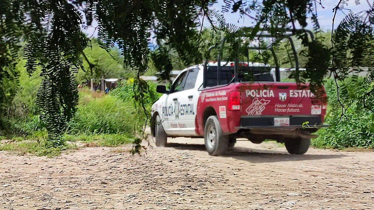 Localizan siete cuerpos en presunta fosa clandestina en Tehuacán